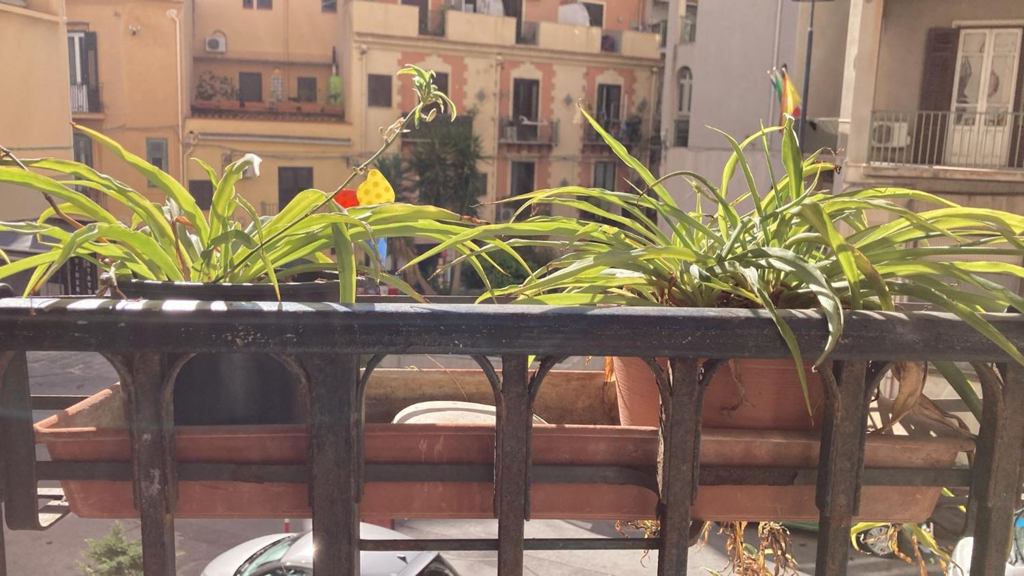 Casa Empedocle Apartment Palermo Exterior photo